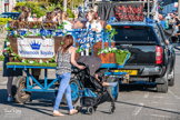 St.Dennis Carnival - July 2024