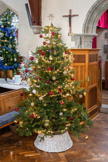 St.Denys Church Festival Of Christmas Trees 2025