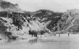 Parkandillick Bottoms